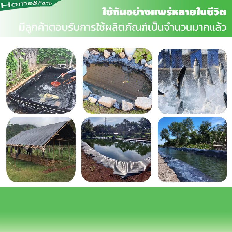 พลาสติกปูบ่อ ผ้ายางปูบ่อปลา HDPE เสริม UV หนา 0.5mm ทนทาน50ปี ออกแบบและทดสอบโดยวิศวกร ฟิล์มบ่อปลา