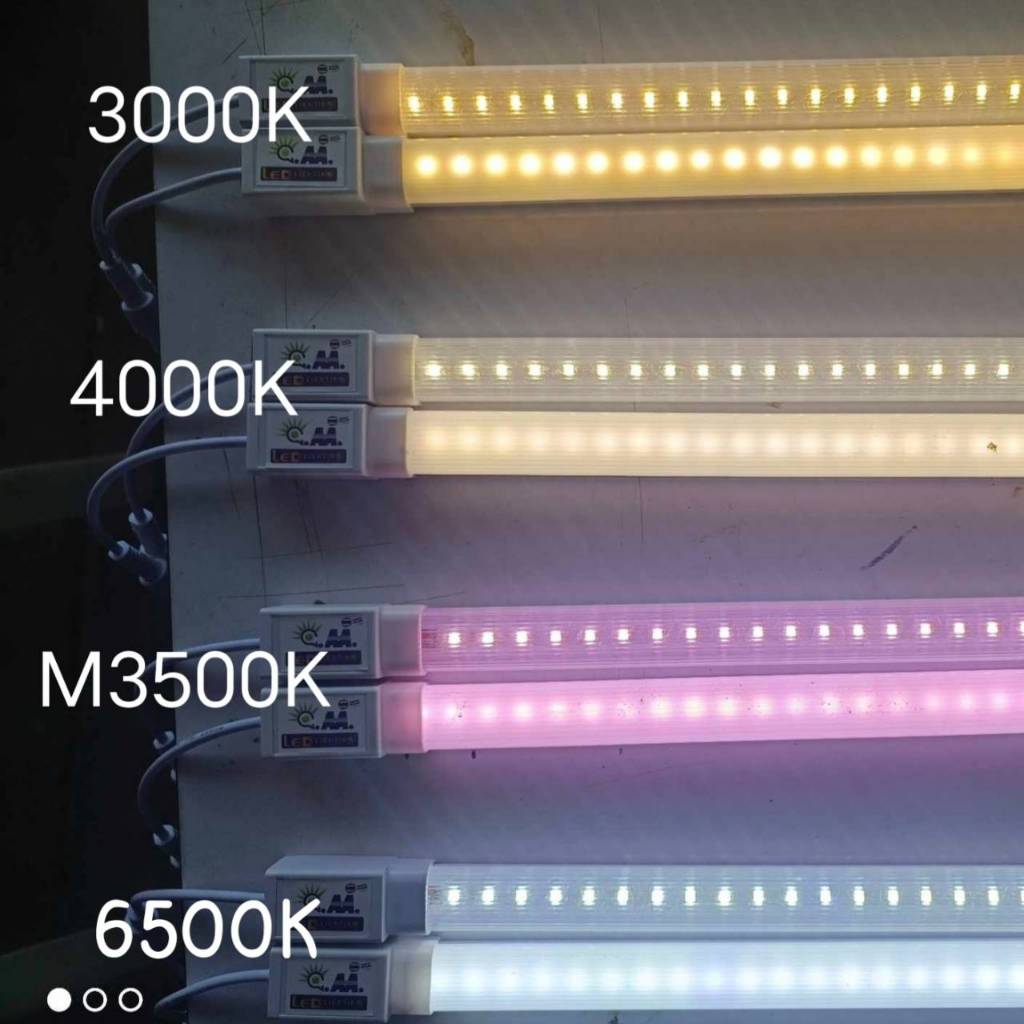 60, 90, 120, 150, 180cm T8 หลอดใส หลอดไฟตู้แช่ T8 สาย VKF ต่อไฟบ้าน AC220V IP65 รับประกัน 1 ปี ผลิตในประเทศไทย - รูปที่ 3