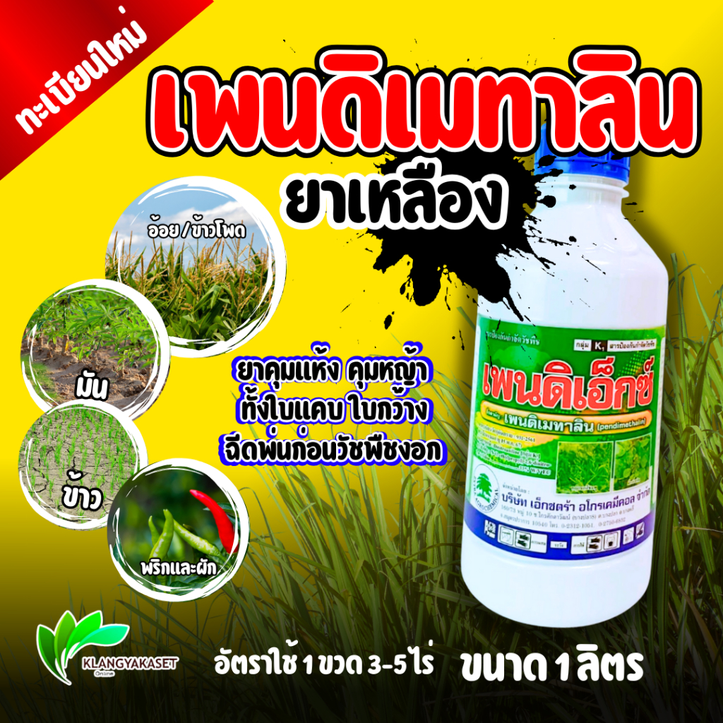 เพนดิเอ็ก เพนดิเมทาลิน 33% 1 ลิตร ยาเหลือง คุมแห้ง 1 ขวด 3 ไร่