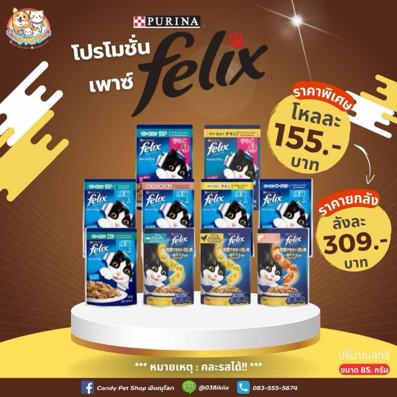 Felix อาหารเปียกแมว เฟลิกซ์ 70g x 24ซอง (ยกลังงงงงงงง)