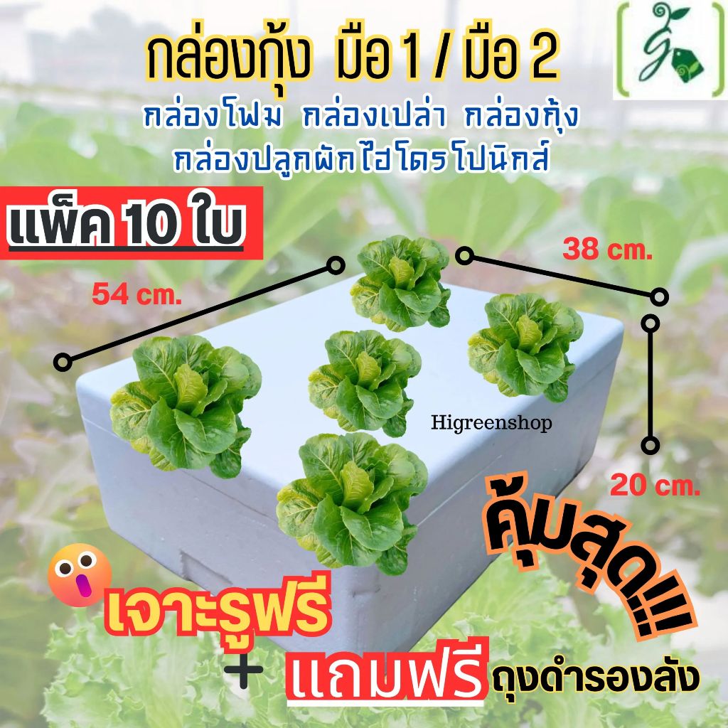 (แพ็ค 10 ใบสุดคุ้ม) ****กรุณาสั่งเพียง 10 ใบ/ออเดอร์ กล่องโฟม กล่องกุ้งมือ1 / มือ 2 ปลูกผัก เจาะรูฟรี + แถมถุงรองลัง