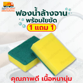 🔥มีส่งด่วนในกทม.🔥1 แถม 1 ฟองน้ำพร้อมใยขัด ฟองน้ำล้างจานพร้อมใยขัด เนื้อฟองน้ำหนานุ่ม คุณภาพดี ทำความสะอาดถ้วย จาน ชาม