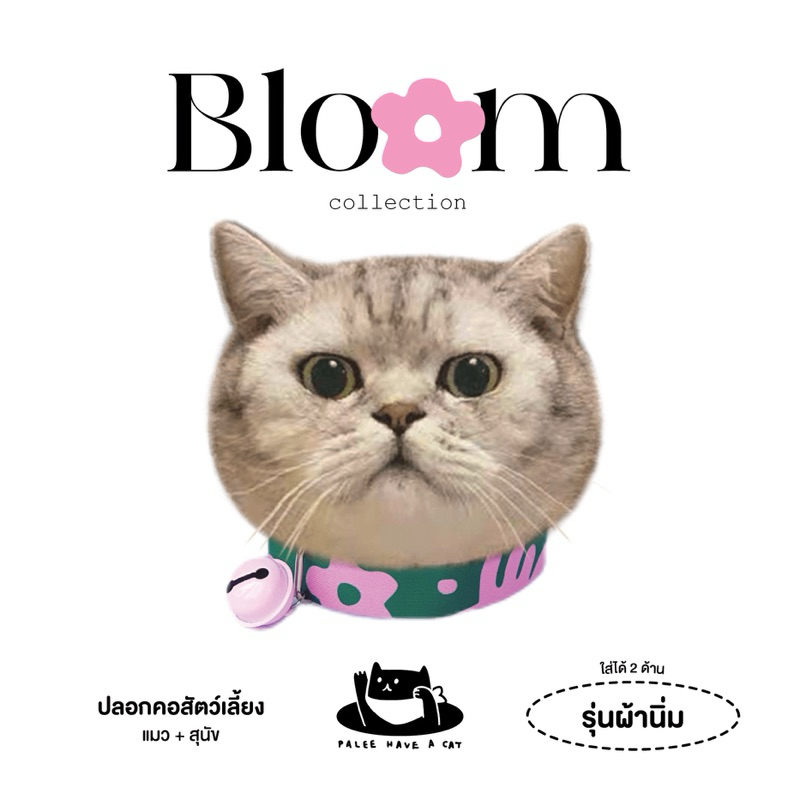 PALEE ปลอกคอแมว “รุ่นผ้านิ่ม” [ Bloom : เขียว-ชมพู ] ผ้านิ่ม/ปักชื่อ/ใส่ได้2ด้าน/แมว สุนัข