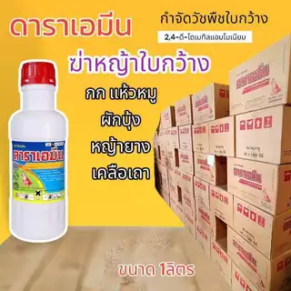 ดาราเอมีน หมาแดงน้ำ 2-4ดึ ฆ่าหญ้าใบกว้าง เช่นผักปอดนา ผักบุ้ง กก หนวดปลาดุก แห้วหมู
