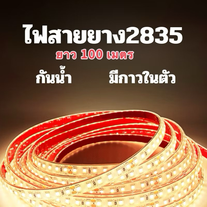 ไฟสายยาง2835 220V มีกาวในตัว 8mm กันน้ำ100เมตร ไฟตกแต่ง ไฟซ่อนฝ่า S21