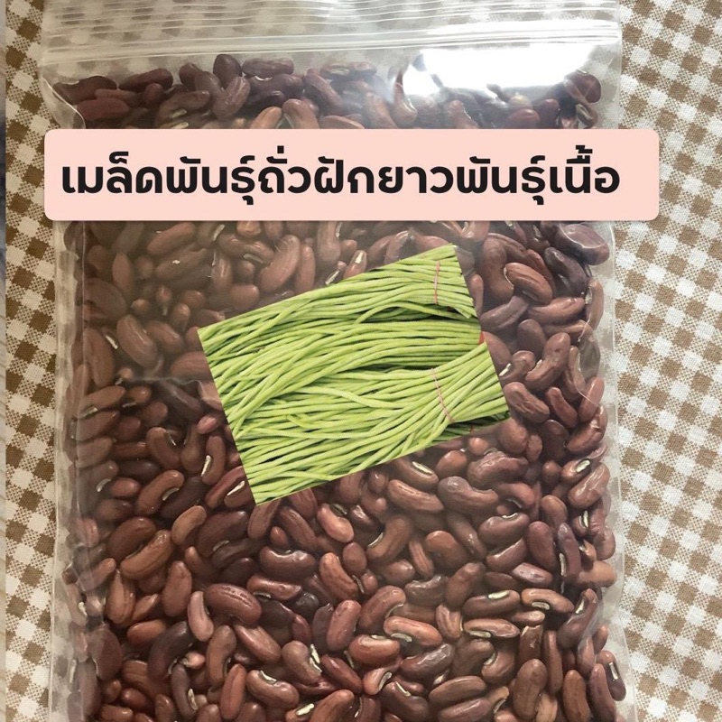 เมล็ดพันธุ์ถั่วฟักยาวพันธุ์เนื้อ ถุงใหญ่ ประมาณ 250+เมล็ด