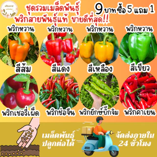 เมล็ดพันธุ์ ขายดีติดอันดับ Top10 ปลูกง่าย โตไว อัตราการงอกสูง พร้อมส่ง เมล็ดพันธุ์แท้OP นำเข้าจากต่างประเทศ