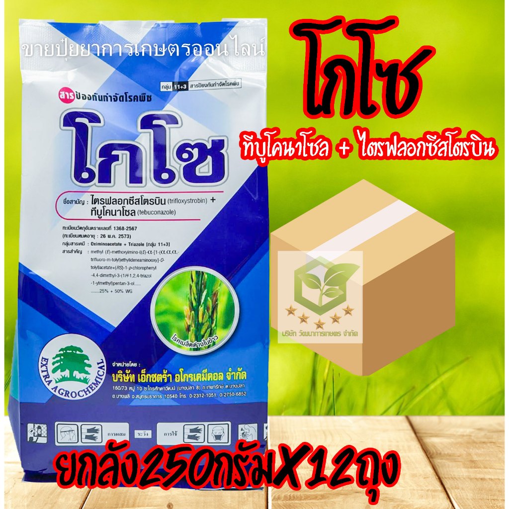 /ยกลัง12ถุง/ โกโซ 250 กรัม ( ทีบูโคนาโซล + ไตรฟลอกซีสโตรบิน 50% + 25% WG) สารกำจัดและป้องกันโรค นาติโว เอเทียจ