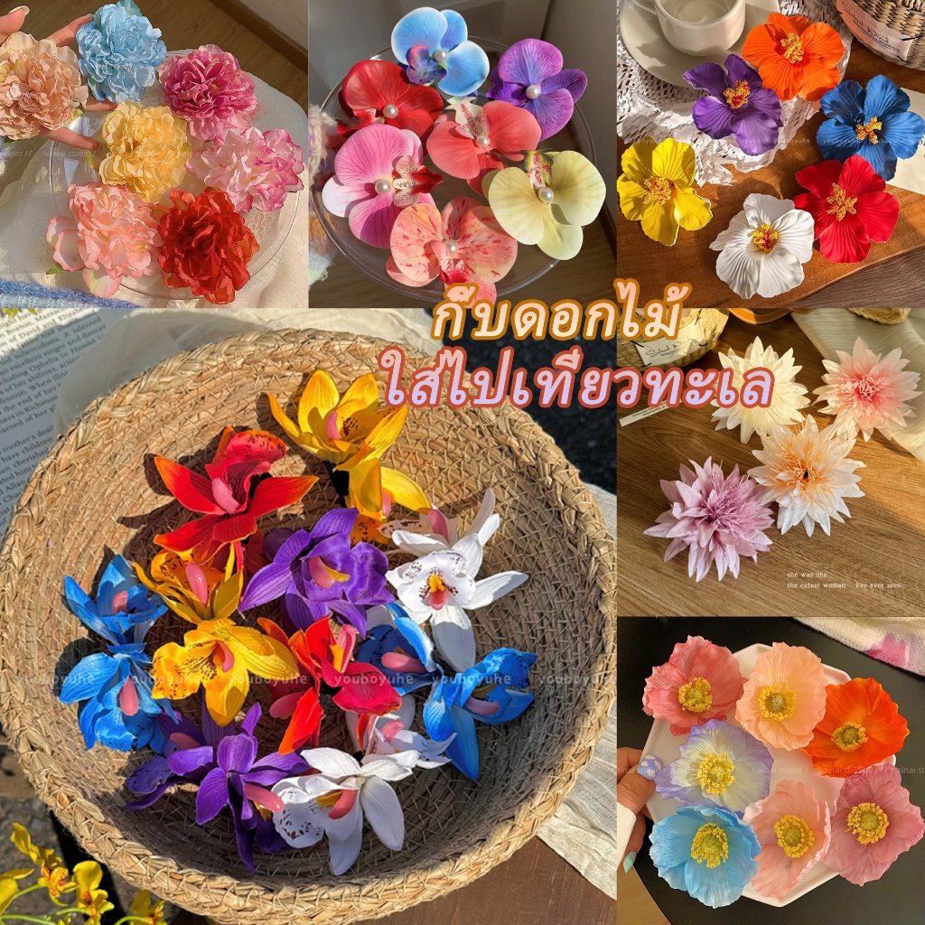 กิ๊บติดผม กิ๊บดอกไม้💫 ฟาแลนนอปซิส ลีลาวดี ชบา ทิวลิป🌺🌻 มีตัวเลือกมากมายให้เลือก พร้อมส่งในไทย🚚
