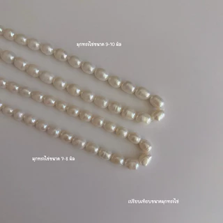 shellandgold - สร้อยคอมุกทรงไข่ มีให้เลือก 6 ขนาด