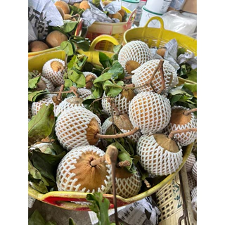 กระท้อนปุยฝ้าย (ตอนนี้สวนเชียงใหม่)อมเปรี้ยว50% อมหวาน50% เนื้อฟู เลือกขนาดไซด์ได้