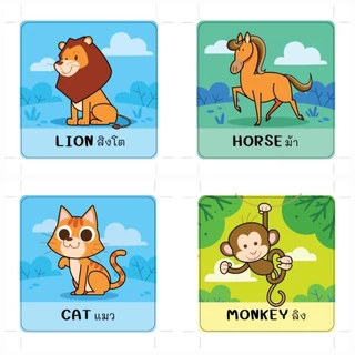 หนังสือ boardbook (บอร์ดบุ๊ค) สมุดภาพคำศัพท์ปกแข็ง [หมวดสัตว์] ขนาดใหญ่ 15×15 ซม. #หนังสือสำหรับเด็ก