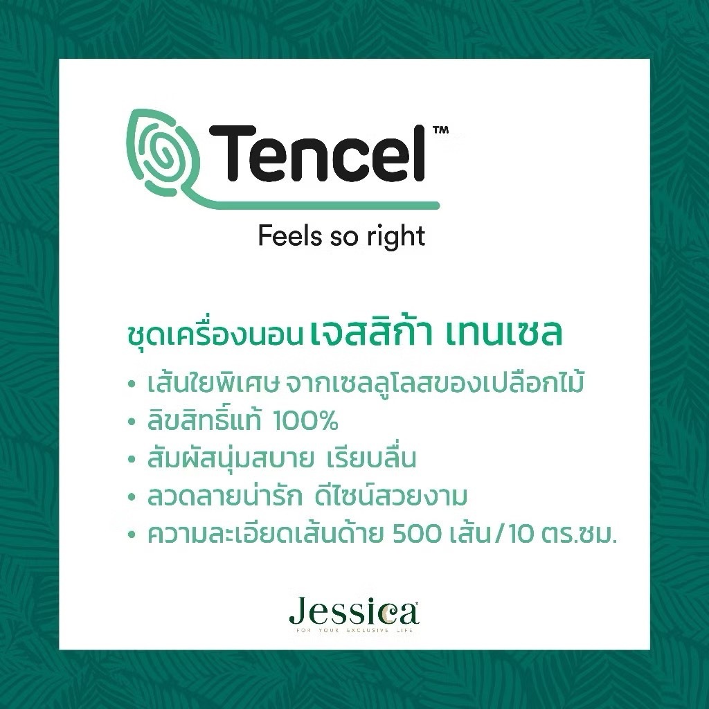 Jessica Tencel [ทอ 500 เส้น] ชุดผ้าปูที่นอน เจสสิก้า เทนเซล พิมพ์ลาย ลายกราฟฟิก T820 ราคา ถูกที่สุด ดีลบีเคเค แกลเลอรีภาพที่ 5