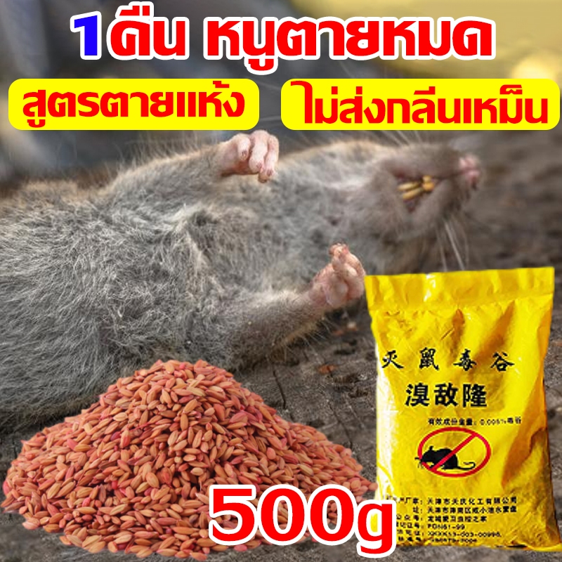 ยากำจัดหนู 1 คืน ยาเบื่อหนู ยาเบื่อ หนู แรงๆ ตายแห้ง (หนูชอบมาก) สูตรตายแห้งไม่ส่งกลิ่นเหม็น เหยื่อกำจัดหนู ยาเบื่อหนูแห