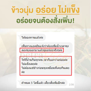 [ขายดี] ข้าวกล้องกข43 ( 5 กก.) น้ำตาลต่ำ ปลอดสาร ข้าวเพื่อสุขภาพ เกรดพรีเมี่ยม แบรนด์บีทร้า