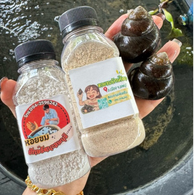 หอยขมยักษ์รัตนะ ชุดพร้อมเลี้ยง