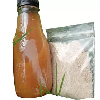 หัวเชื้อเห็ดตับเต่าหวาน สูตรเข้มขัน สายพันธุ์ดอกใหญ่จัมโบ้
