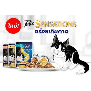 Felix อาหารเปียกแมว ทุกรส 85g. 1ลัง (24ซอง)