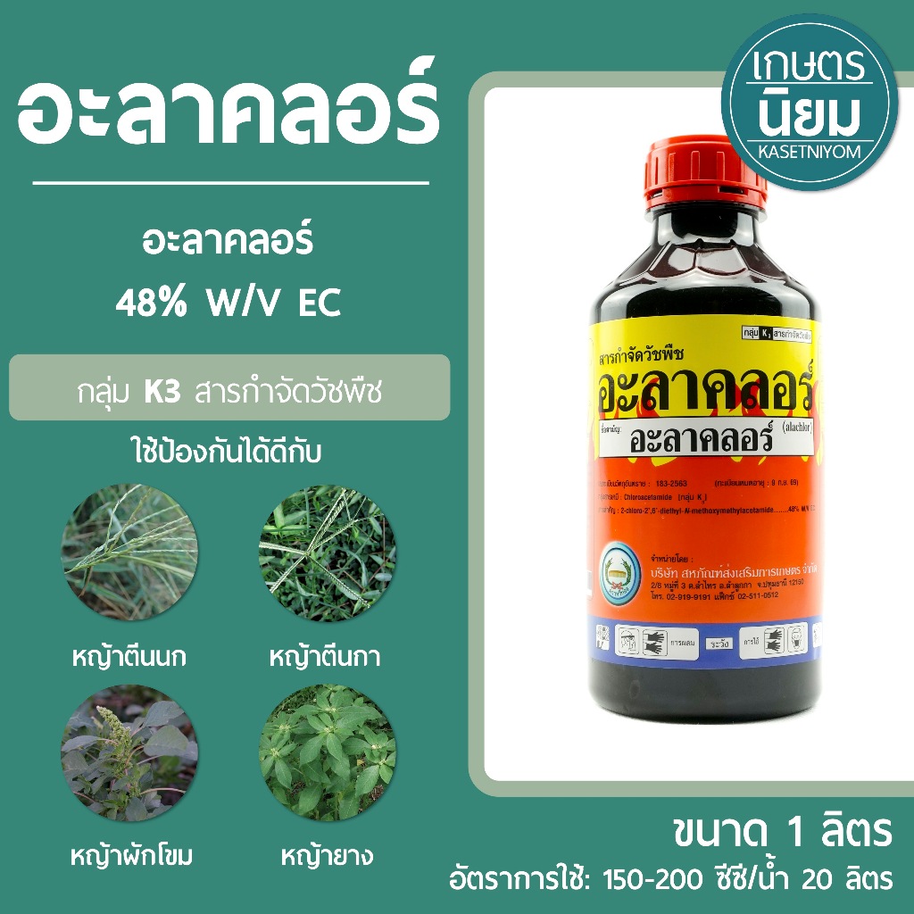 อะลาคลอร์ (อะลาคลอร์ 48% W/V EC) 1 ลิตร