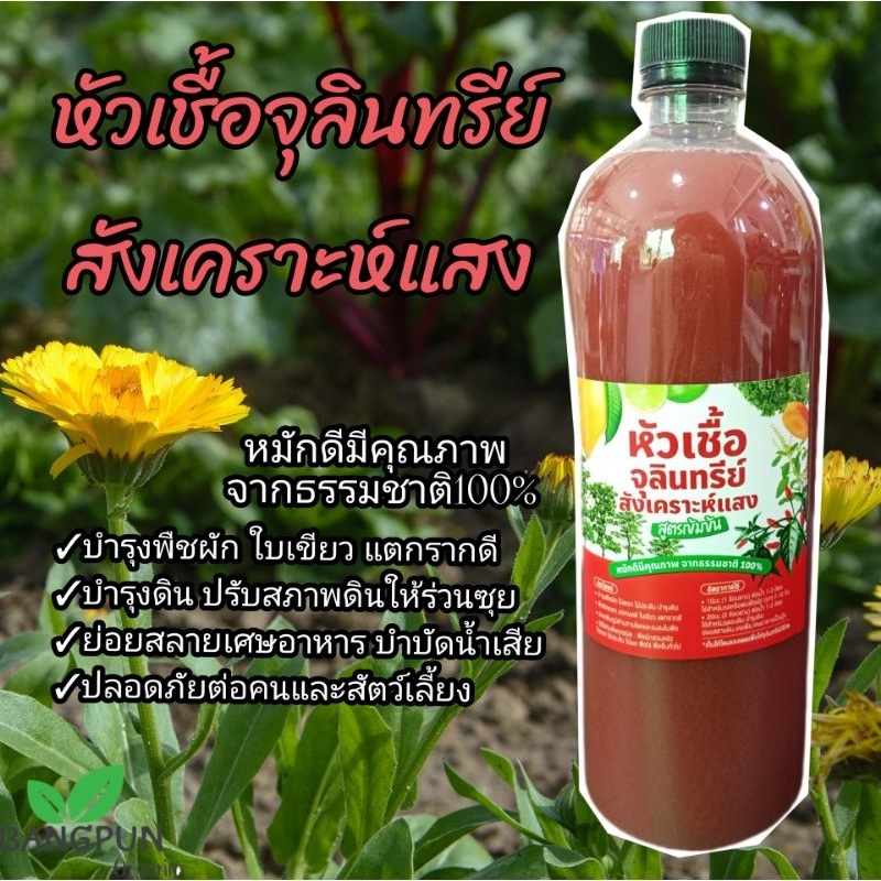 หัวเชื้อจุลินทรีย์สังเคราะห์แสง ใช้บำรุงพืชผัก หมักดินทำปุ๋ย ใช้บำบัดน้ำ ล้างคอกสัตว์ดับกลิ่นเหม็น