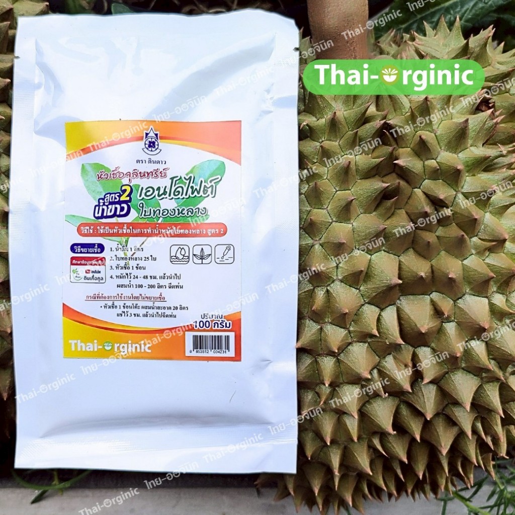 หัวเชื้อจุลินทรีย์เอนโดไฟต์ ใบทองหลาง สูตรน้ำขาว (B16เดิม) ตราดินดาวปฐมอโศก สูตร อจ.วิโรจน์ 100 กรัม - รูปที่ 4