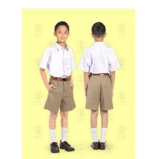 เสื้อเชิ๊ตนักเรียนชายตราสมอ ของแท้ ส่งของด่วนทุกวัน (ขอบิลเบิกโรงเรียนได้)