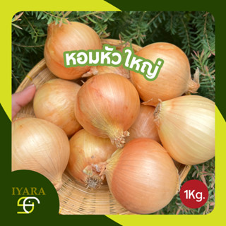 หอมหัวใหญ่ หอมใหญ่ หอมใหญ่ไทย 1กิโลกรัม/2กิโลกรัม