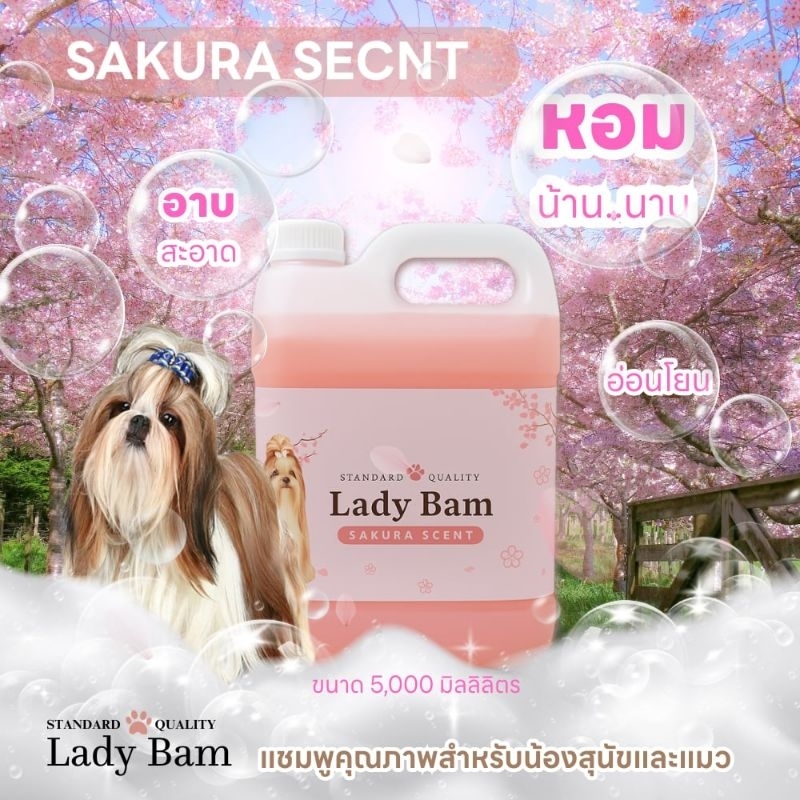แชมพูอาบน้ำสัตว์เลี้ยง เลดี้เเบม lady bam เเชมพูสำหรับน้องสุนัข เเมว พรีเมียมเกรด หอมนาน บำรุงขน ลดการระคายเคือง ฟองเยอะ
