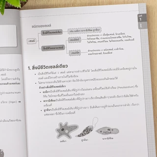 Infopress(อินโฟเพรส)หนังสือ เตรียมสอบเข้า ม.1 รร.วิทยาศาสตร์จุฬาภรณราชวิทยาลัย (ปีล่าสุด2568-2569)