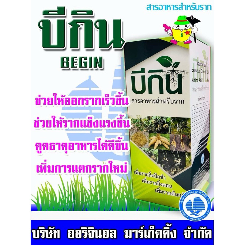 บีกิน Begin สารอาหารสำหรับราก ขนาด 500 มล.