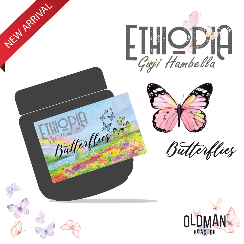 เมล็ดกาแฟ ETHIOPIA  GUJI HAMBELLA  " BUTTERFLIES " (คั่วอ่อน) by OLDMAN ROASTER