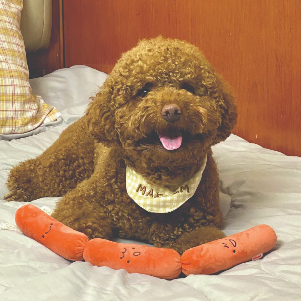 ตุ๊กตาไส้กรอก Beep Beep Sausages