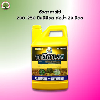 คายีซาเรส ขนาด 4 ลิตร แกลลอนเหลือง กลูโฟซิเนต-แอมโมเนียม 15% W/V SL ใช้กำจัดหญ้าใบแคบและใบกว้าง