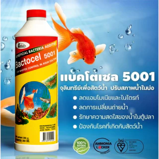 (ของแท้ 100%) Bactocel 5001 300cc จุลินทรีย์น้ำใส บ่อปลา ตู้ปลา แบลโตเซล ปรับสภาพน้ำใส บ่อขนาดใหญ่
