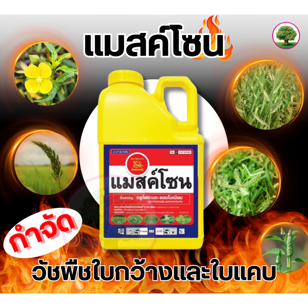 แมสค์โซน กลูโฟซิเนตแอมโมเนียม ม้าทองเศรษฐี ขนาด 4 ลิตร กูโฟซิเนต กลูโฟ กำจัดหญ้าใบแคบและใบกว้าง