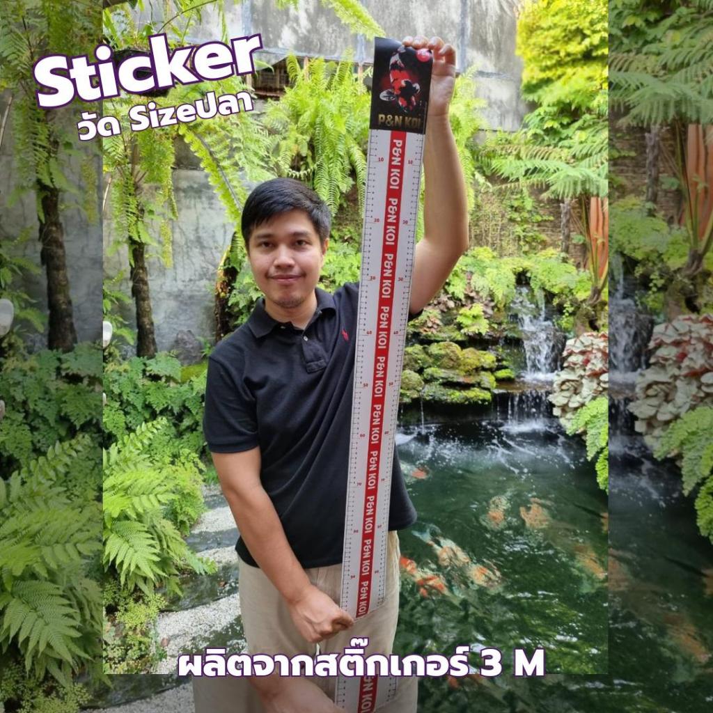 สติกเกอร์วัด Size ปลาคาร์ฟ🎏P&N Koi🎏