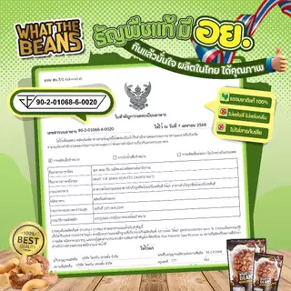 เม็ดมะม่วงจัมโบ้เผาเกลือ สูตรโบราณ 1,000 กรัม เม็ดมะม่วงยักษ์ เกรดAAA what the beans