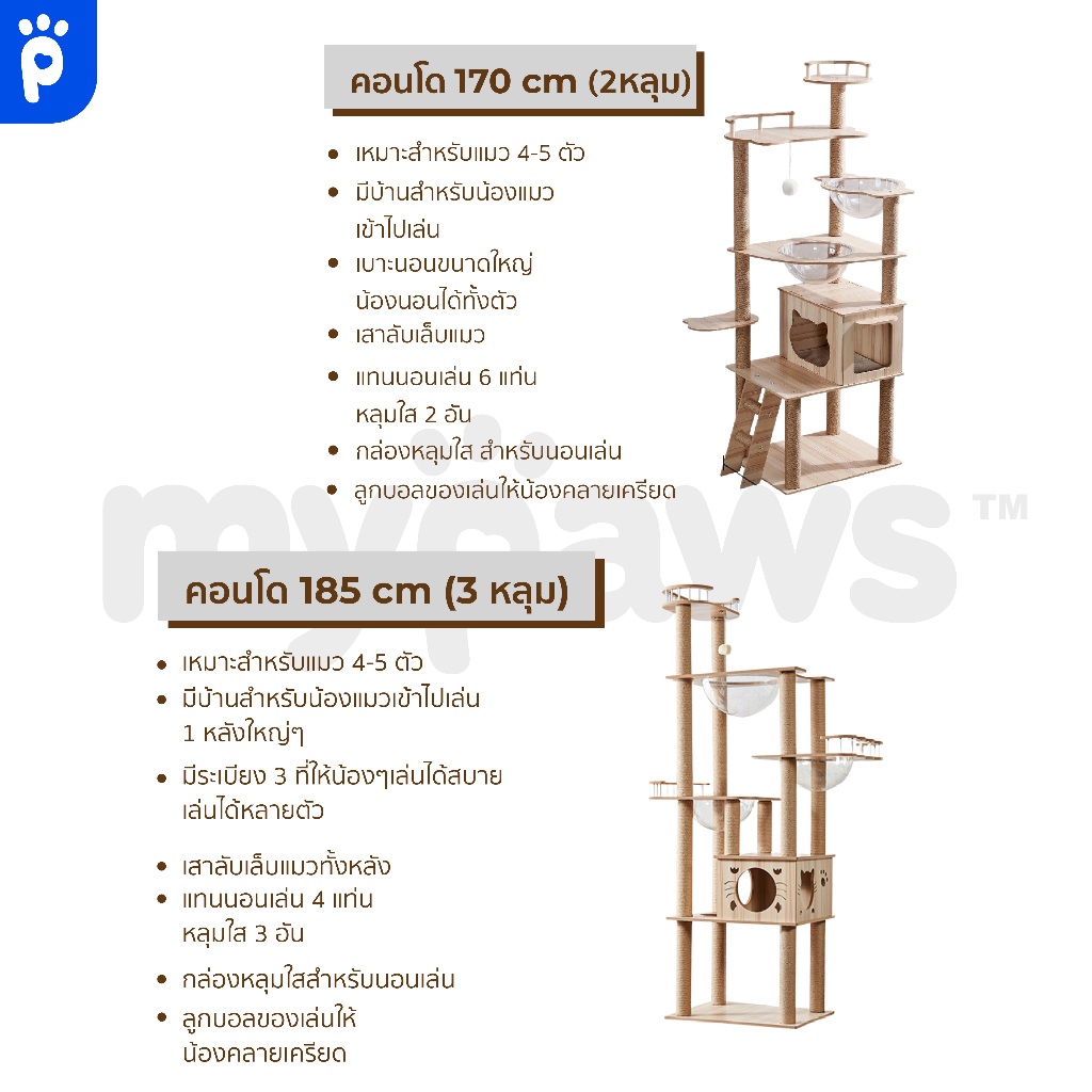My Paws คอนโดแมว 2 หลุม แบบไม้ พร้อมโดมนอนแบบใส บันไดและกล่องนอน เสาลับเล็บทั้งต้น - รูปที่ 3