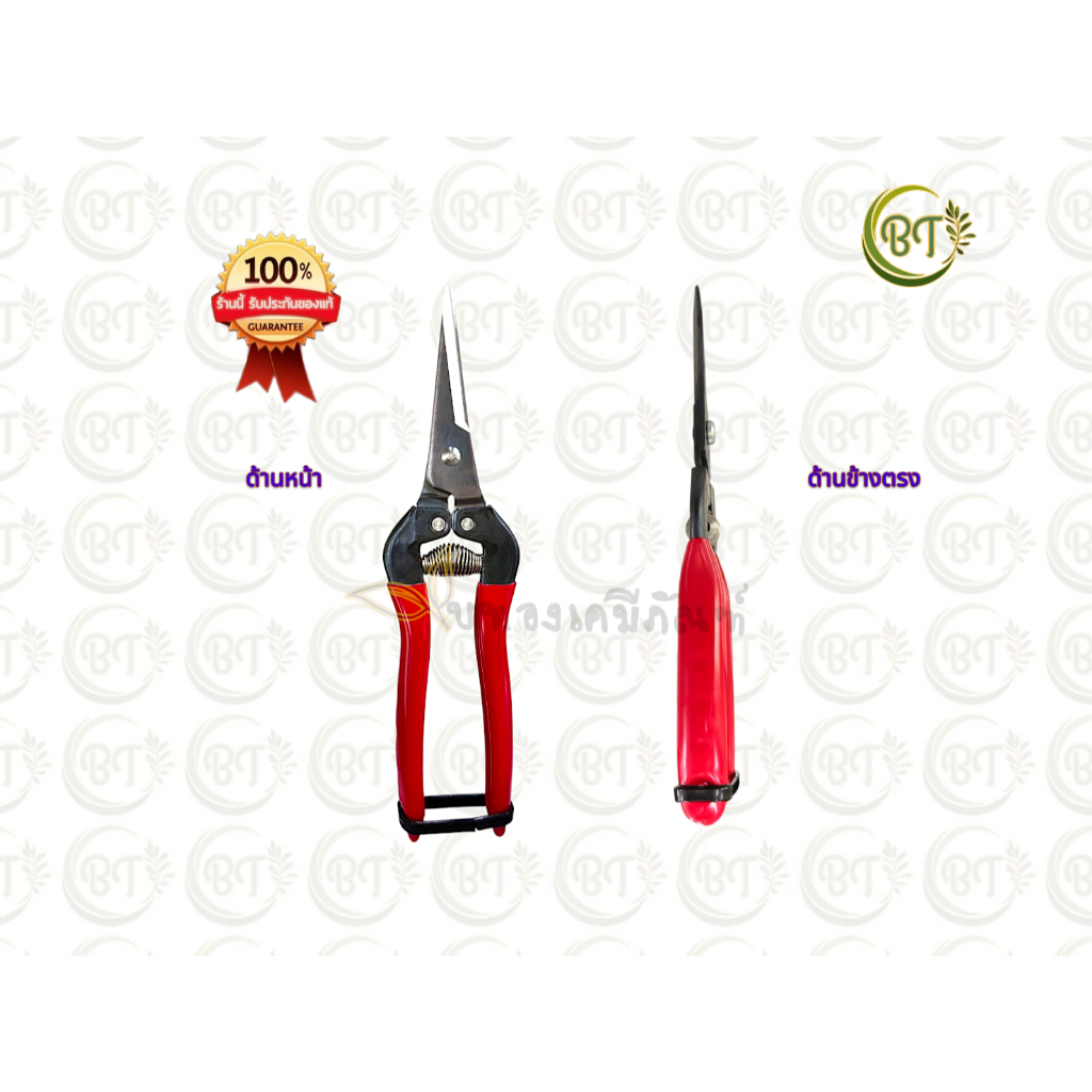 กรรไกรแต่งกิ่ง ARS รุ่น300L Made in Japan ปากตรง