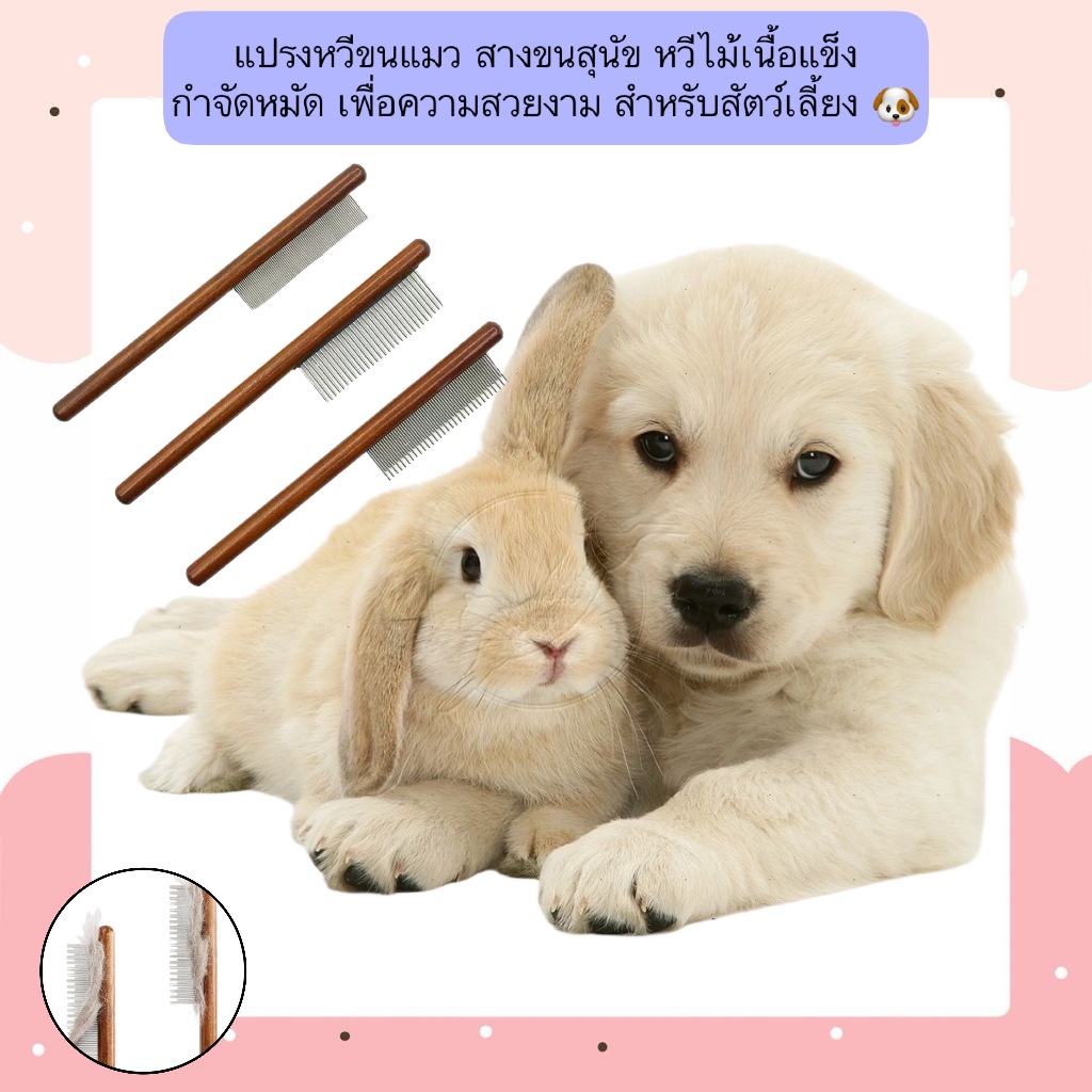 BN-641 แปรงหวีขนไม้เนื้อแข็ง กำจัดหมัด สำหรับสุนัข แมว และสัตว์เลี้ยงทุกขนาด 🐶🐱 ช่วยสางขน ลดการพันกันและขน