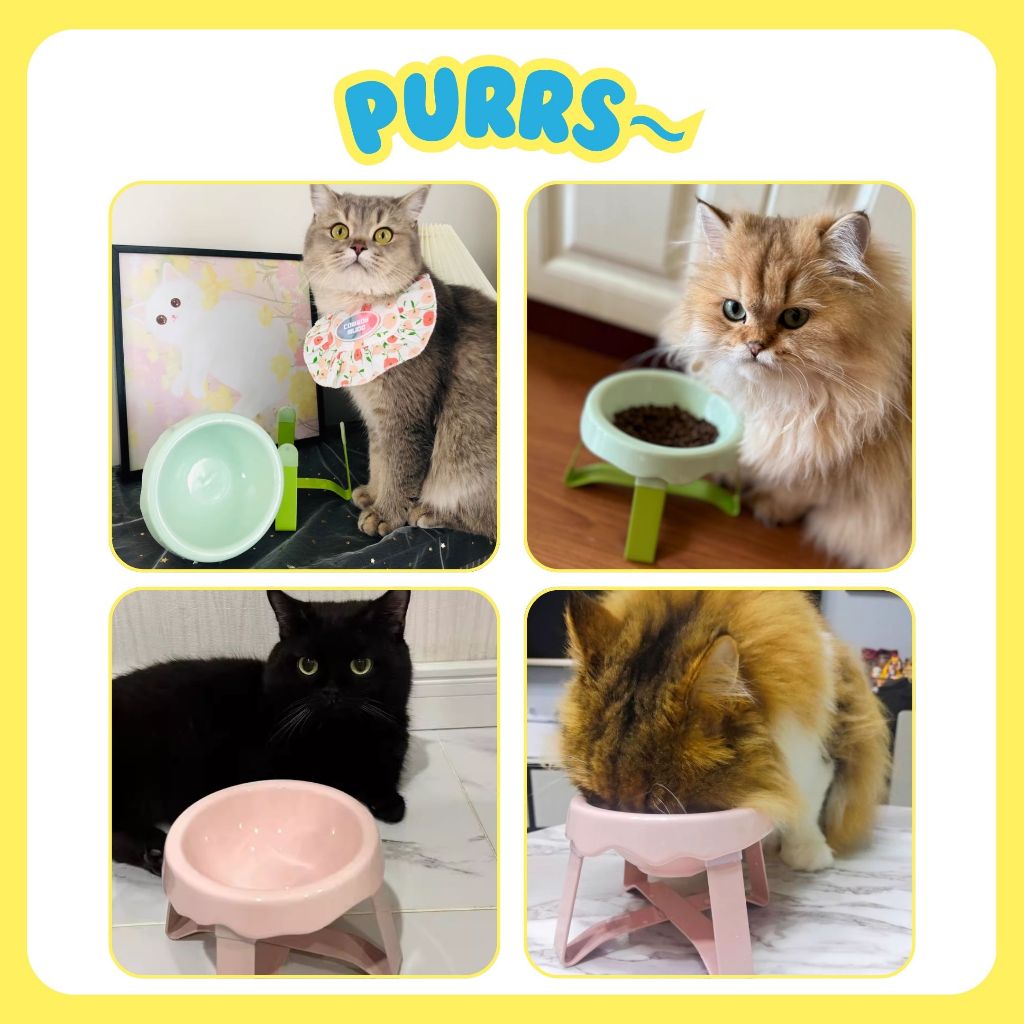 [ส่งฟรี] Purrs ชามเซรามิคขอบหยัก ชามอาหารแมว ก้นลึก มีขาตั้ง ชามอาหารสัตว์เลี้ยง รูปที่ 5