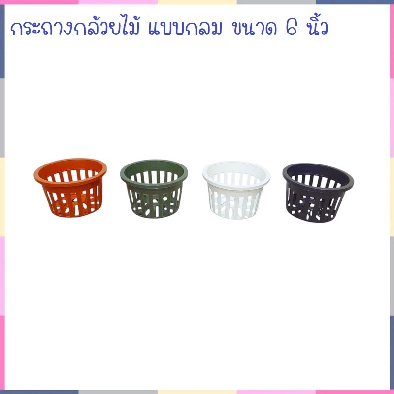กระถางกล้วยไม้พลาสติก แบบกลม มีให้เลือกหลากสีสัน (ราคาต่อ 5 ใบ)