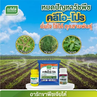 คลีโอโปร ชุด6ไร่ ยกลัง !! มี6ชุดกำจัดวัชพืชในไร่ข้าวโพด คลีโอ โปร