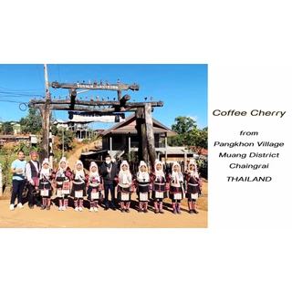 Pusang Coffee (กาแฟ ภูซาง)-เมล็ดกาแฟคั่วเข้ม ปางขอน จ.เชียงราย (Pangkhon Coffee) 250 กรัม