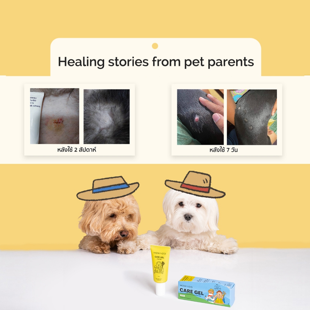 รูปภาพ 6