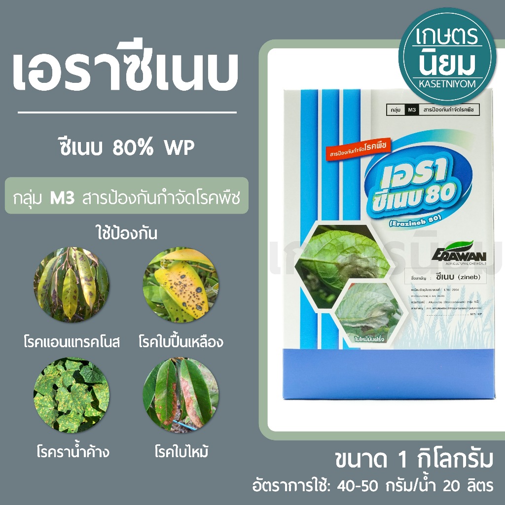 เอราซีเนบ (ซีเนบ 80% WP) 1 กิโลกรัม