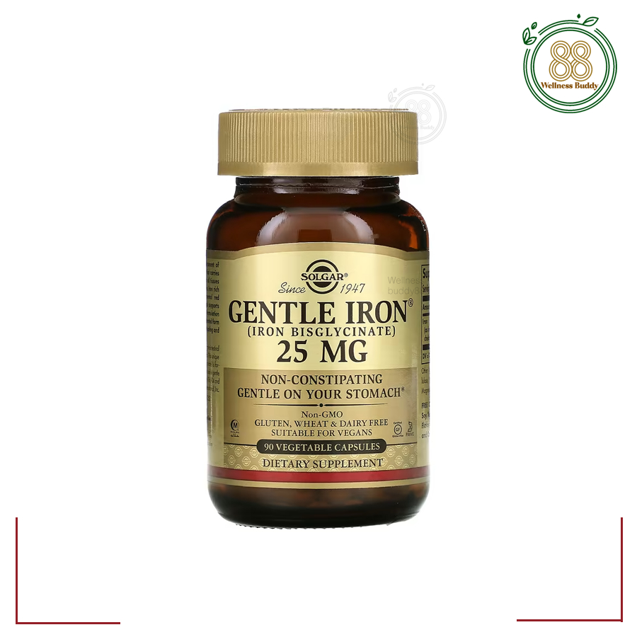 Solgar, Gentle Iron®, 25 mg, 90 Vegetable Capsules