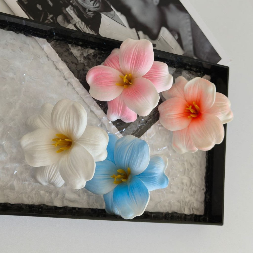 BIKINI FACTORY เครื่องประดับสวยๆ กิ๊บ ดอกไม้ ส่งไวจากไทย 💌 กิ๊บชบาแฟนซี มีหลากสี BK-546 - รูปที่ 3