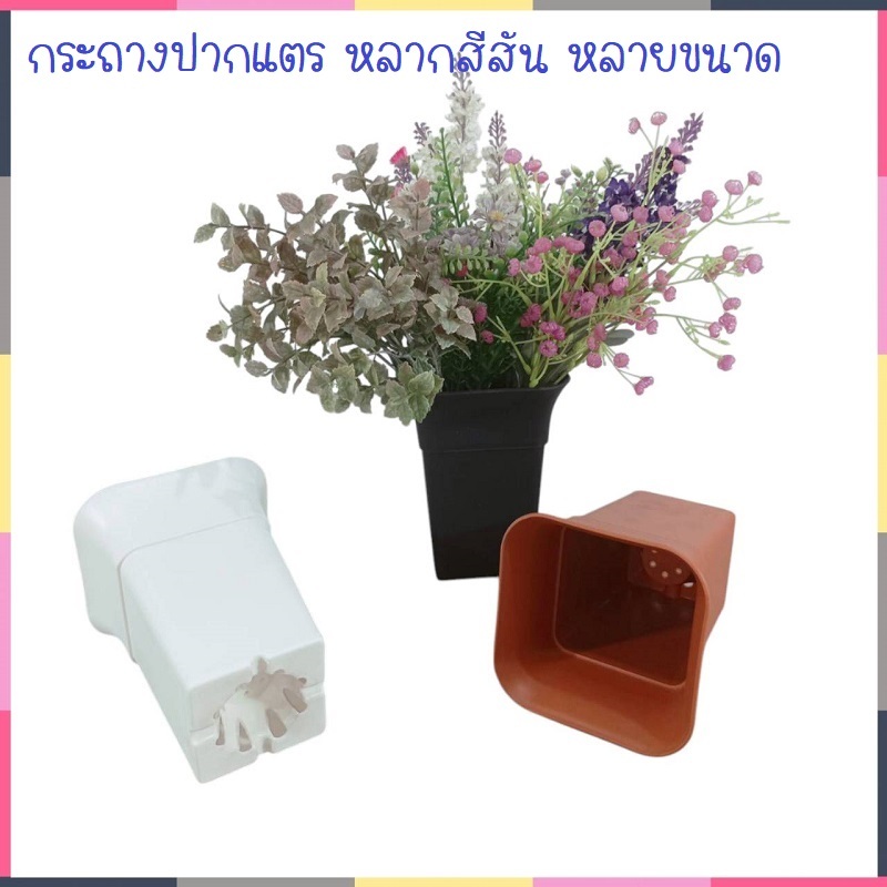 กระถางปากแตร มีทั้งขนาด 3.5 และ 4.5 นิ้ว (ราคาต่อ 5 ใบ)