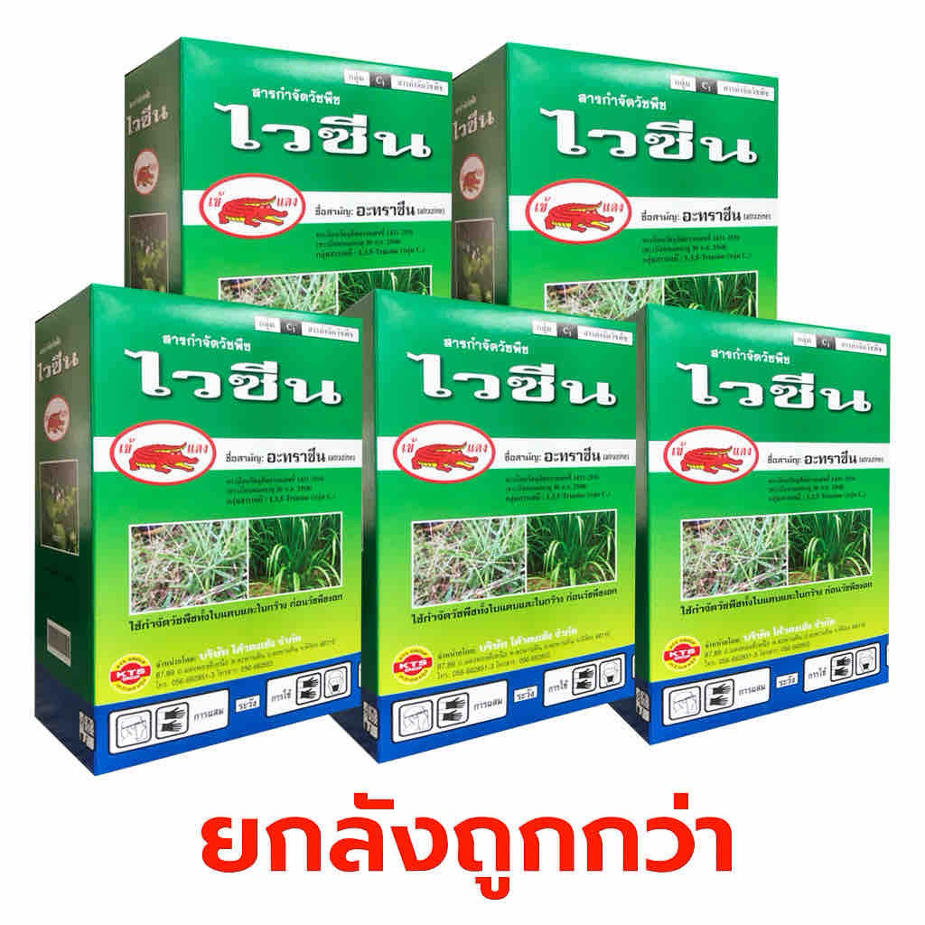 ไวซีน ยกลัง 12กล่อง ขนาด 1กิโลกรัม